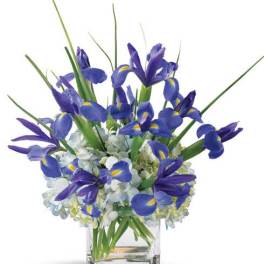 Wondrous Iris and Hydrangea Bouquet