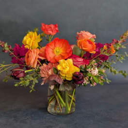 Designer's Choice - Bright & Bold