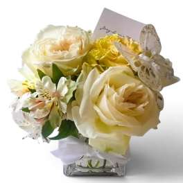 Petite Blossom Beauty Designer's Choice