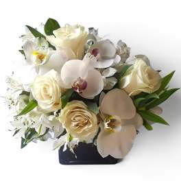 Vanilla Sympathy Bouquet Designer's Choice