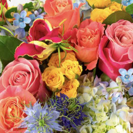 Designer's Choice - Seasonal Mix