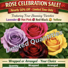 1 Dozen Roses - Rose Celebration Sale June 23rd - 28th! *Please select Rose Color in Special Instructions during checkout.