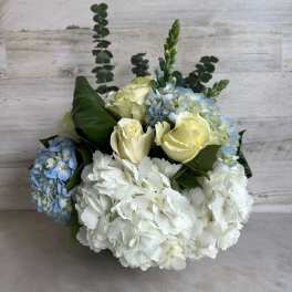 BLUE PETIT