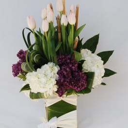 Mother Day Tulips