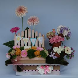 Little Garden For Her