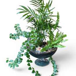 Small Terrarium