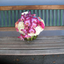 Orchids Hydrangeas #20