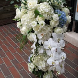 Roses Orchid #1