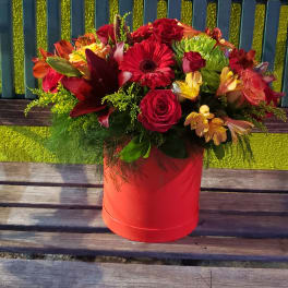 Shades of red #61
