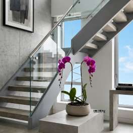 Purple Orchid Arrangement - Delivery Orchids Same Day