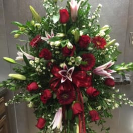 sympathy in red
