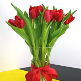 Tulips Choice