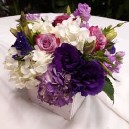 Lavender Love