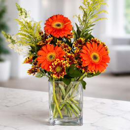Office Blooms
