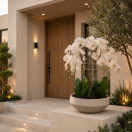 White Orchid Arrangements – Same Day Flowers Delivery
