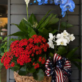 Patriot Blooming and Green Plants in a Basket
