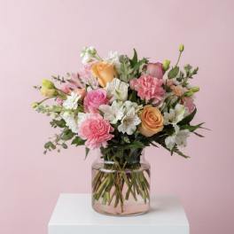 Blushing Blooms