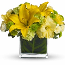 Oh Happy Day by Teleflora
