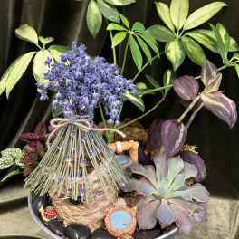 Fairy Garden