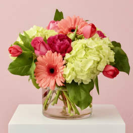 Pink and coral flowers in a clear glass vase