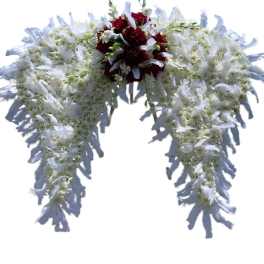 Feathered Angel Wings