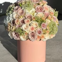 Pastel Box