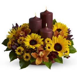 Rustic Radiance