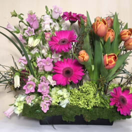 English Garden