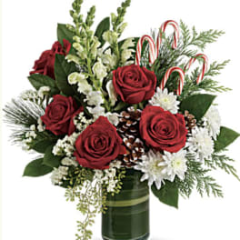 Rustic Candy Cane Christmas