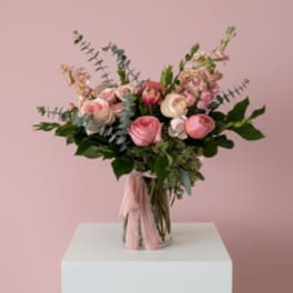 49 | Jolie en Rose