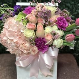 Garden Box PLA53