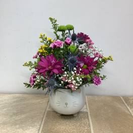 Purrfectly Charming
