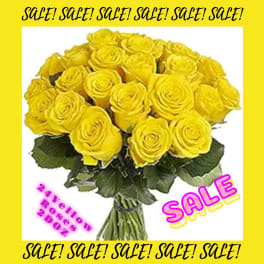 SALE! 24 Yellow Roses
