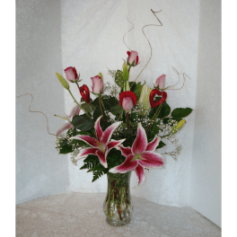 STARGAZERS AND LATIN LADIES, OH SO BEAUTIFUL!