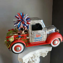 Star spangled summer succulent mix PL14