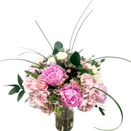 The Peony Premiere