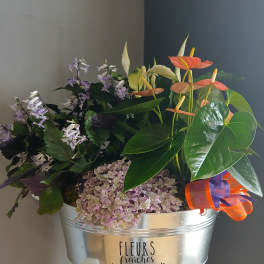 PL2 Mixed flower garden