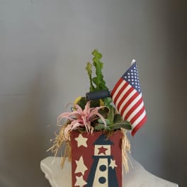 PL 27 Succulent Mix 4th