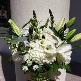 White Elegance (BR)