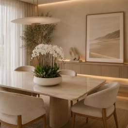White Phalaenopsis Orchids – Same Day Orchid Arrangements