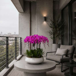 Purple Orchid Same Day – Flowers Arrangements Delivery