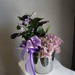 Pink lady + Mona lavender PL11