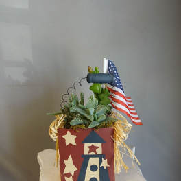 PL 28 Succulent Mix 4th