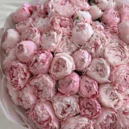 Dusty Pink Peony Bouquet – 39 Stems Premium Edition