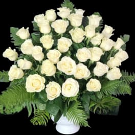 3 Dozen White Premium Roses