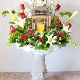 Pamela's Passionate Garden