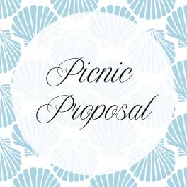 Picnic Proposal Package