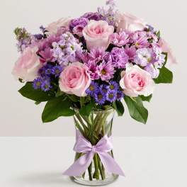 Day Dreaming Purples