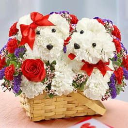 Lucky in Love