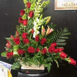 santa rosa basket